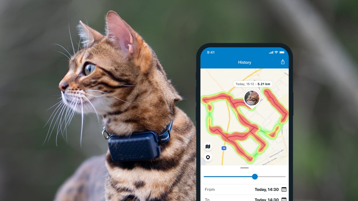 Monitoraggio dell'attività con il nuovo localizzatore Tractive GPS CAT 4 su smartphone