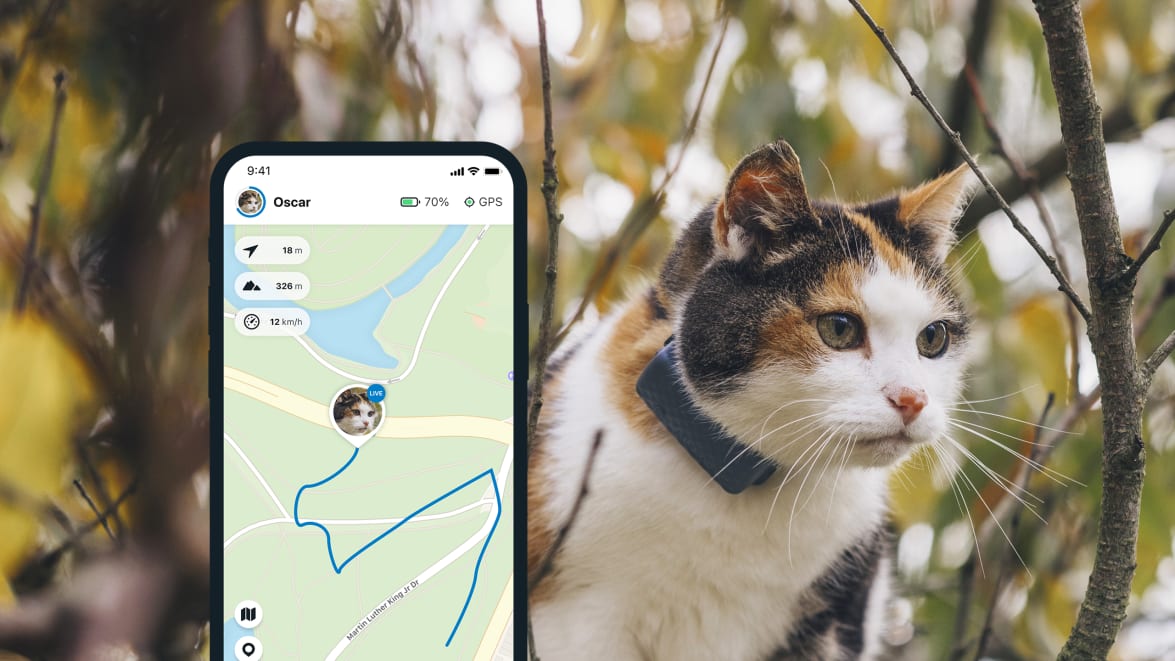 LIVE Tracking con il nuovo Tractive GPS CAT 4