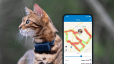 Monitoraggio dell'attività con il nuovo localizzatore Tractive GPS CAT 4 su smartphone